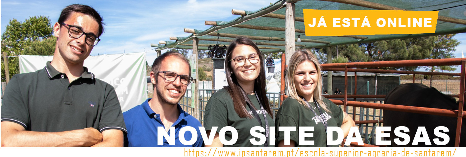 Novo site