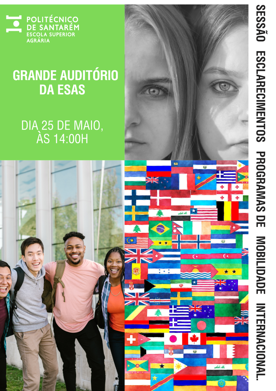 cartaz